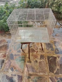 قفص • نظيف جدا • كربلاء