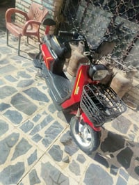 دراجة شحن • الريان • ديوانية مركز