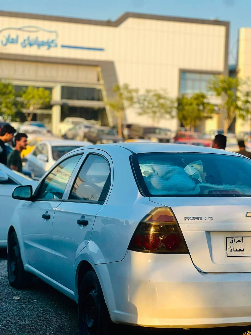 ئەفیو2011  بەشەرتی حاسیبەو ئەوەلیات بۆیاخی نیە سیارەکە زۆر پاکە تەقەو ڕەقەی نیە تەبرید ساردو گەرم لە گەڵ سوچ بێ نوقسانی  چوار تایەو ویلی لۆک لە ژێرێتی سعری45مەجال ژم***********واستابی لەسەرە
