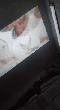 سمارت بروجكتر مع سبيكر كل التطبيقات واي فاي بلوتوث ربط جهاز  *********** 
50الف مع الاسبيكر. ديوانيه فقط ماعندي توصيل
