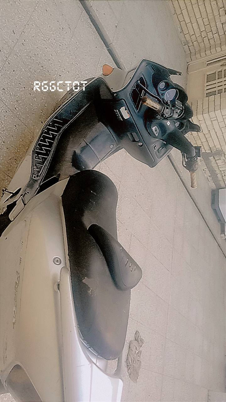 *********** فورس
