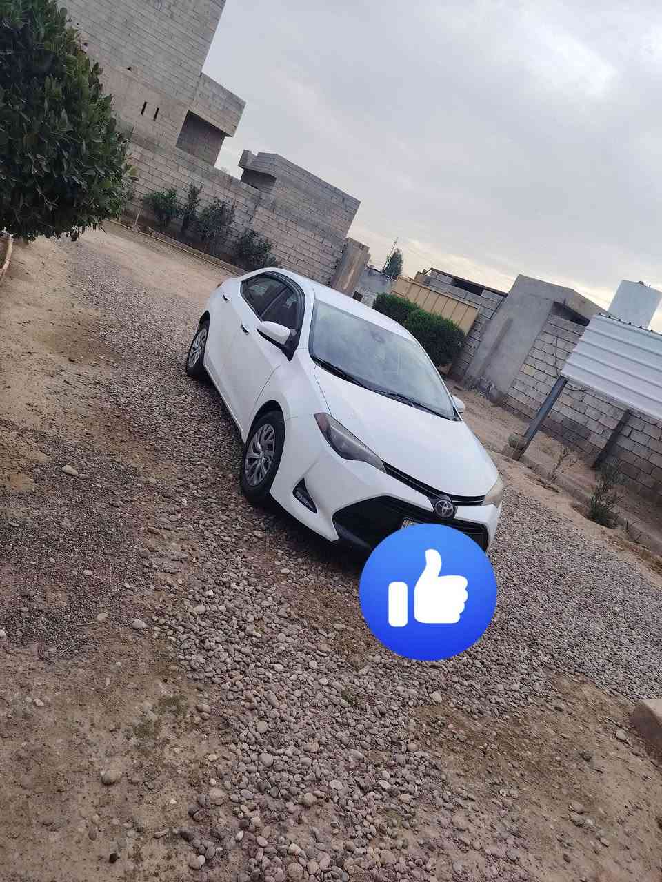 السلام عليكم ورحمة الله وبركاته
كورلا 17 للبيع  LE

كير محرك شرط 

ماشيه 165

حادثها فقط بونيد مبدل بلادي بدون داخل 

السياره باسمي 

رقم السليمانيه 

السعر 148 مجال قليل جداً 

مكان السياره صلاح الدين الشرقاط


**إذا كنت صاحب هذا الإعلان وتريد حذفه لأي سبب، رجاءا أرسل رسالة إلى الدعم الفني**