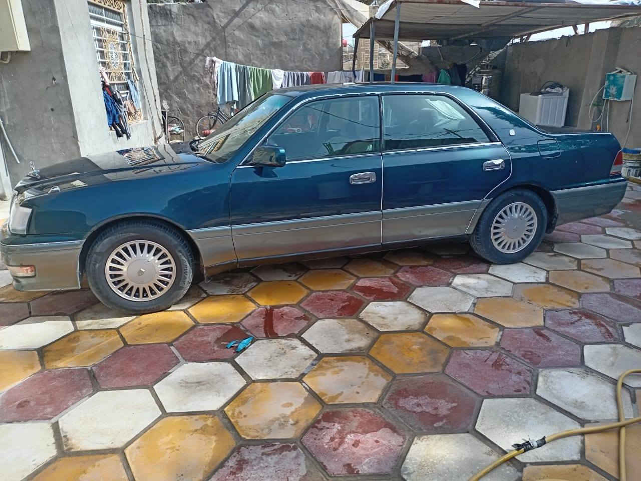 راس ثور للبيع ستفسار*********** مكفول كفاله عامه بسمي
