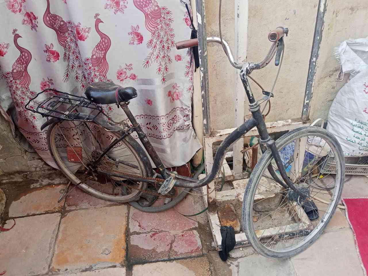 ب40قفل


**إذا كنت صاحب هذا الإعلان وتريد حذفه لأي سبب، رجاءا أرسل رسالة إلى الدعم الفني**