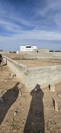 امسيجه زراعية • ٢٥٠م • مقابل روتانا