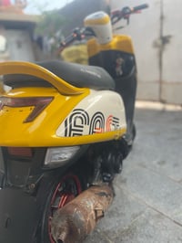 ماكس بوليس • كفالة ٧ اشهر • فيه مجال