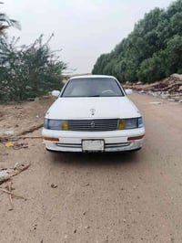 بطة • ٩٥ • سفوان