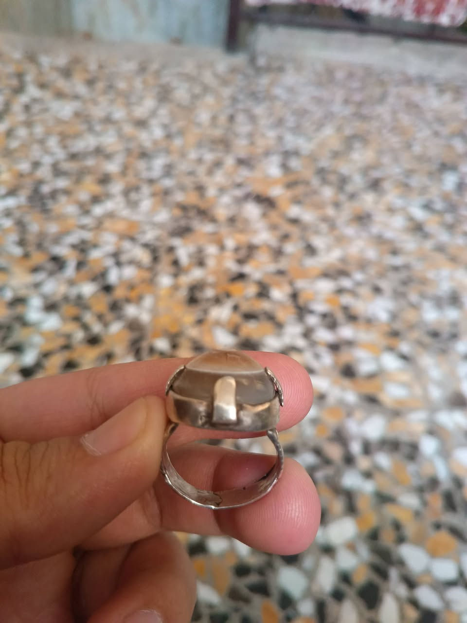 بقري للبيع السعر 65    ***********
