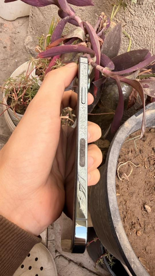 الذاكرة ٢٥٦
البطارية ٨٢
النظافة ١٠٠٪؜
العنوان بغداد - العبيدي - فلكة حي النصر
الموبايل نظيف ع ايدي مامبدل بيه اي شي 

تواصل واتساب
 ***********
