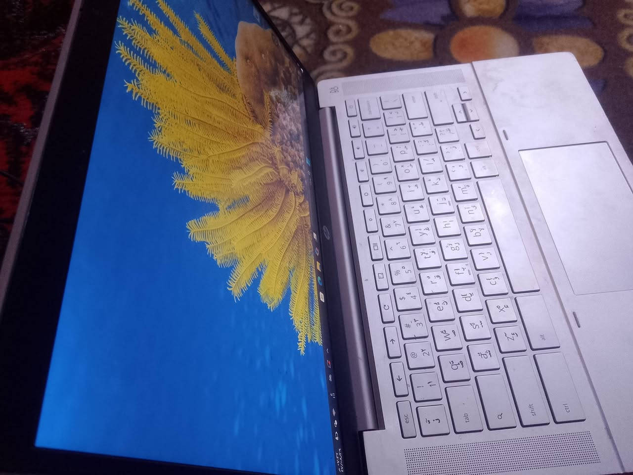 سلام عليكم
حاسبه البيع

او مراوس ب ايباد 

والسعر 80

التواصل عبر الواتساب 

***********
