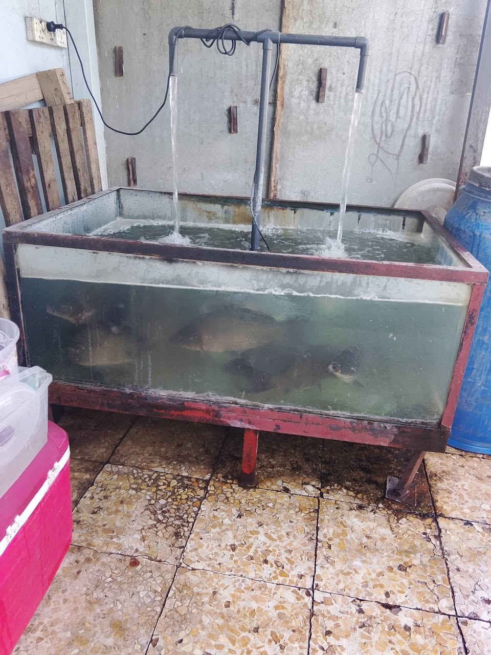 السلام عليكم 
شواية سمك متحركة 
وحوض سمج زجاجي 
للبيع 
***********
