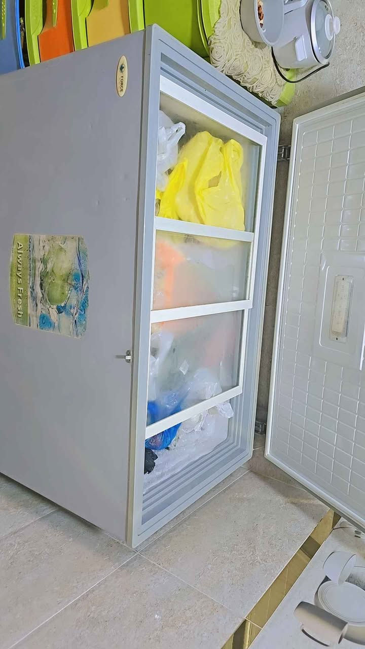 مجمدة نوع فورسي اخت الجديدة تشتغل ونضيفه كلش ع فحص للإستفسار واتس أو اتصال
*********** النجف, العراق
