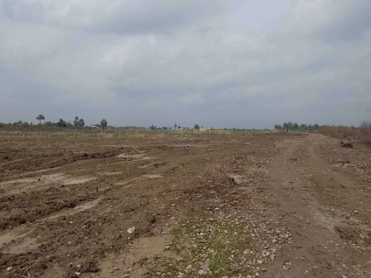 السلام عليكم 3دونم للبيع سعر الدونم 10مليون الموقع الشلالات قرب مقلع حجي صباح للستفسار الاتصال ع الرقم ***********
