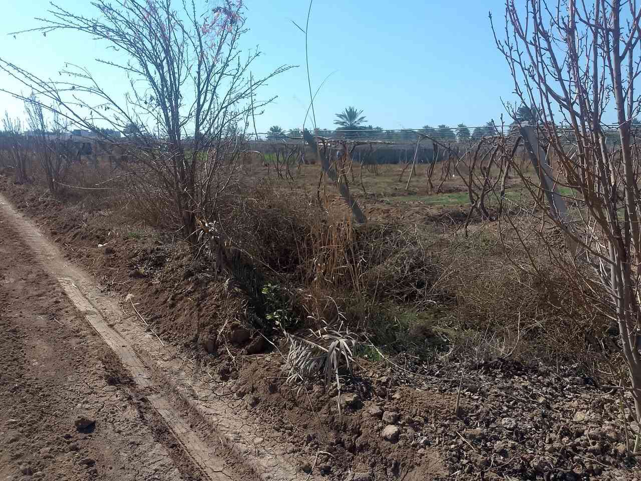 بستان للبيع المساحه دونم ونص المواقع بين مدخل 1-2 اتصال ع الرقم *********** ***********
