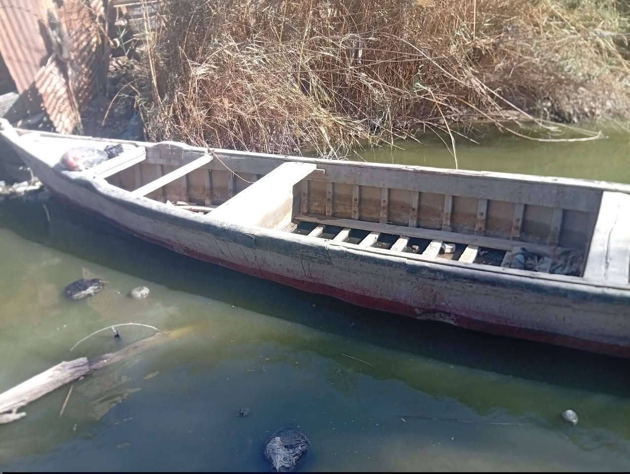 سلام عليكم مكينه 15سازوكي ابيع مفتوحه السازوكي ... ومارنر 15والمارنر مامفتوحه وجناكو 2وحده فافون 7متر وحده فايبر 8متر السعر مليون وسبع مئه وخمسون 1750وبيهن مجال للشراي *********** اتصال وتساب وخط
