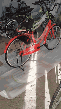 السلام عليكم اخوان يتوفر جميع انواع البايسكلات البالة الياباني والجديد ومختلف الأحجام وبأسعار تنافسية  العنوان الديوانية الحمزة الشرقي قرب كراج الملاحه ***********
