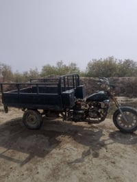 ستوته لبيع كلك عوزه بس عقل وظفيره اني ابيعك كوم حديد شراي يتصل 0788981...