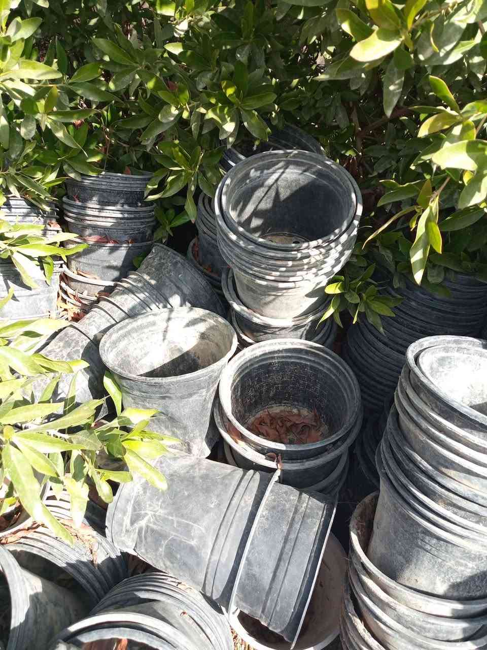 سلام عليكم سنادين زراعه للبيع ٨ بالف عندي عدد شكد ما تريد واني بخدمه الطيبين


**إذا كنت صاحب هذا الإعلان وتريد حذفه لأي سبب، رجاءا أرسل رسالة إلى الدعم الفني**