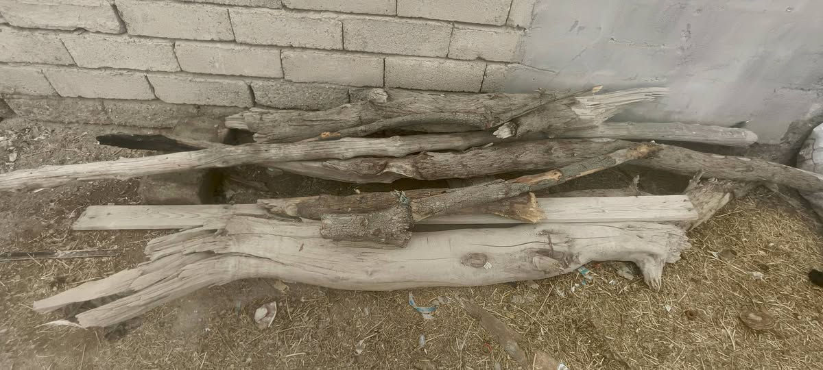 سلام عليكم
دراجه عاطله ومتروكه سعر 200 وبيهه مجال 
كابون تغليف نوع ثقيل سعر القطعه 500 دينار 
حطب كبار 3 ستوتات حمل راسلني ونتفق ع السعر
سكيبات خشب عدد 15 سعر القطعه الف دينار 
بايسكلات 2 كبير وصغير سعرهم 25 الف اثنينهم 
***********
