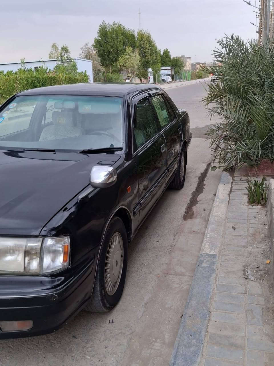 السلام عليكم رأس الثور مكفولة من كص ونقل والضربة سيارة نضيفة جاهزة السعر 85 العنوان البصرة المعقل رقم الهاتف *********** البصرة, العراق
