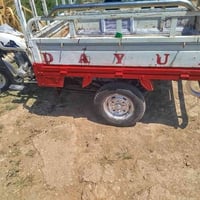 ستوتة • 2019 • مكفولة