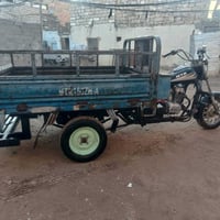 ستوته • موديل 10 • مكفوله