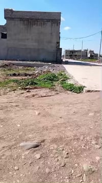 مجمع الحياة • ٢٥٠م • ارض ركن