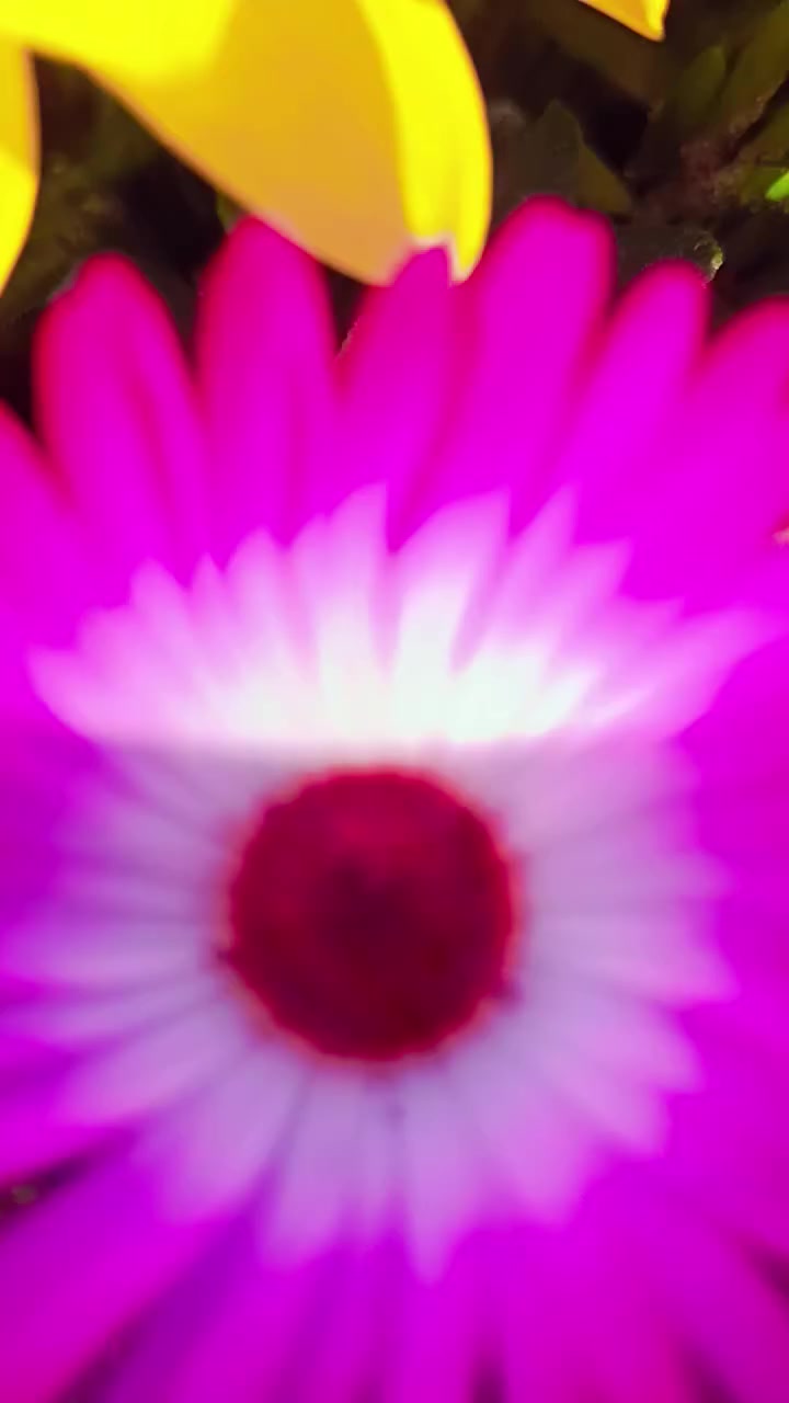 السلام عليكم 
مشتل سيد حسين 
قرب جسر الصويره 
***********
