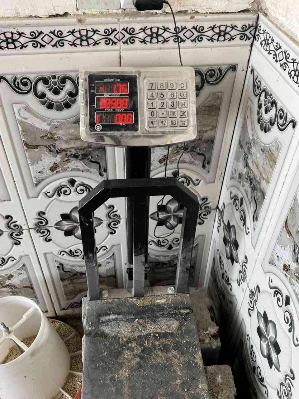 سلام عليكم غراض للبيع ***********
