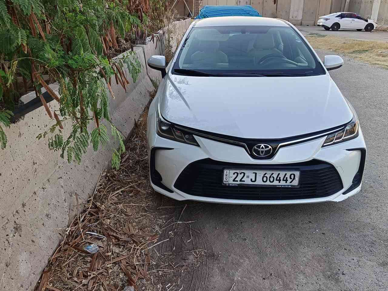 كورلا 2021  خـليـجـي  جيهان  مكفوله من الصبغ والبارد وتبديل  فقط شخط زغير باب الخلفيه باقي على حطته
 اربيل بسمي    تحويل ثاني يوم 
السعر  139$ سعر مناسب سياره جاهزه من كلشي كير محرك مكفول تبريد ثلج صدر جديد
 تخم تاير قبل سبوع جديد  السياره مغلفه ارضيه جلد وكشنات جاهزه للاخير    
      الاستفسار     *********** وات ساب 
مكان السياره الكراده
مفتاح التشغيل 
تحكم مقود جهتان                           
شاشة اندرويد
محرك 1600
 شرط بانزين عادي
حساس خلفي                              
كشافات زنون 
حجم الاطارات 205/55R16
تبريد قطعتين
اشاير بالمري          
‏نظام SPORT
نظام مانع تزحلق ‎
‏Bluetooth
مخرج منفذ الطاقة                           
4دسك
