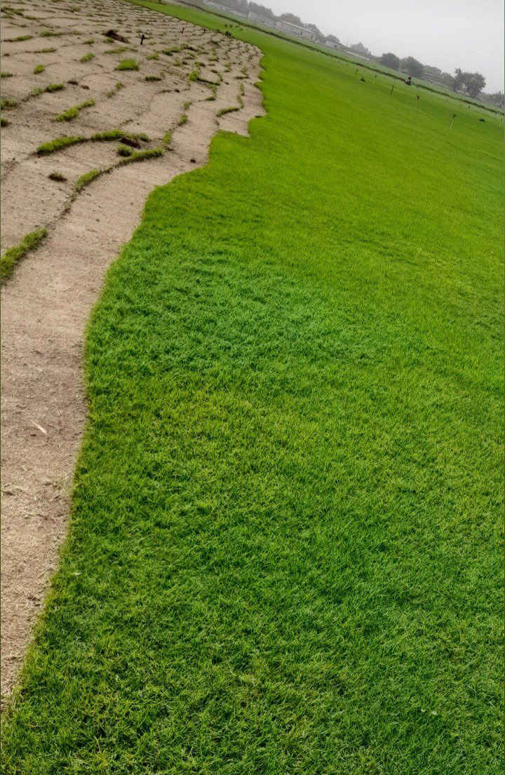 ثيل لبيع درجة اولى ثيل ديالى الاتصال ***********
