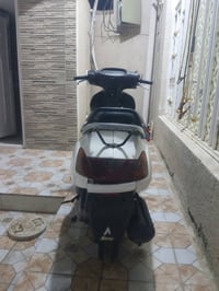 سبيسي • ياباني • كفاله
