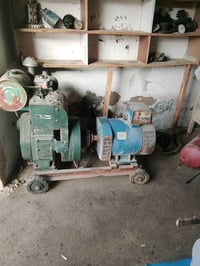 مولده هندي • مايكوري • 10kv