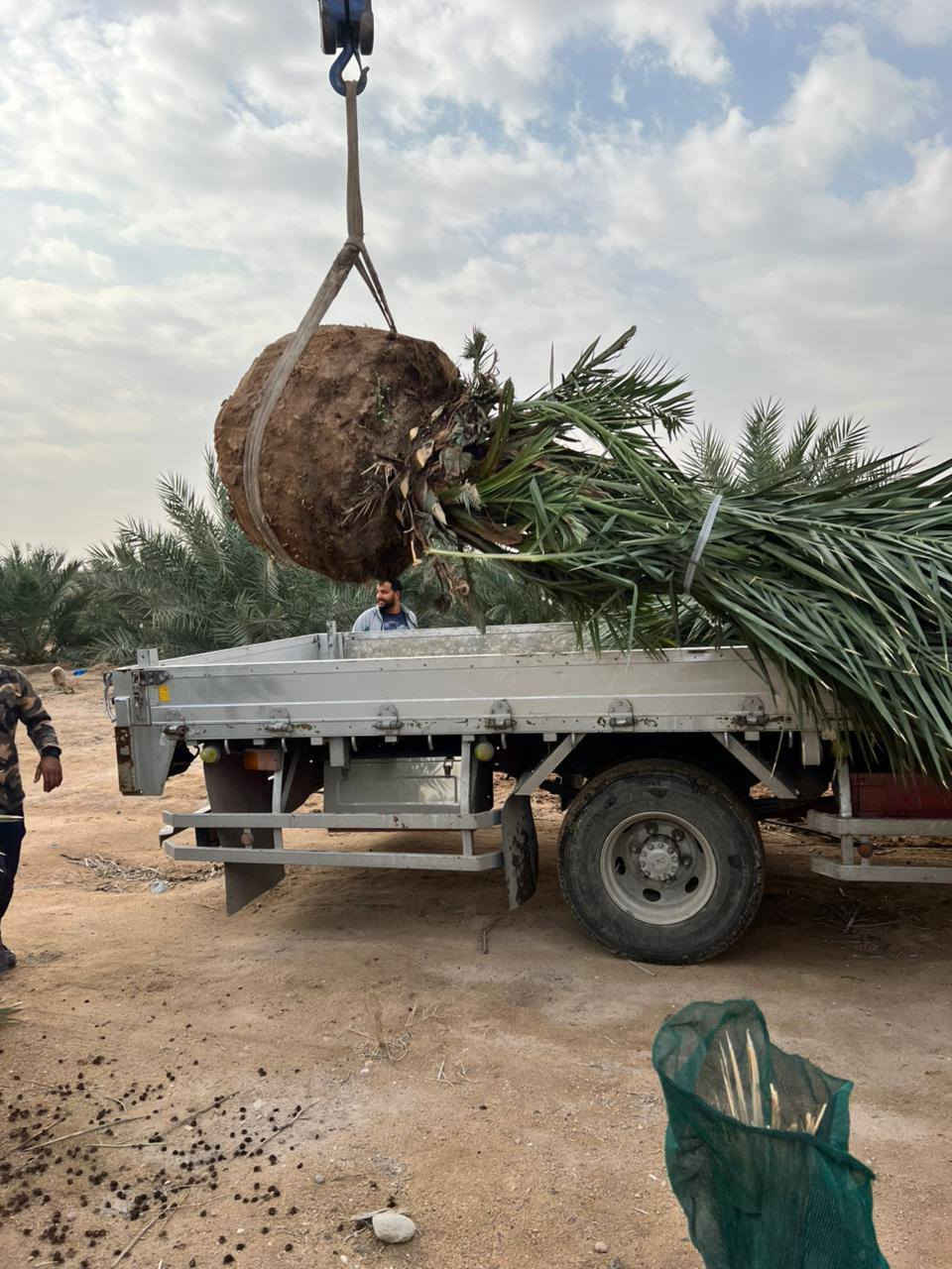 تحياتي للجميع أخوكم رضا الراشد تتوفر اميات مجهول لكعيدي هنا وفسائلهن عنواني بصره ابو الخصيب ***********
