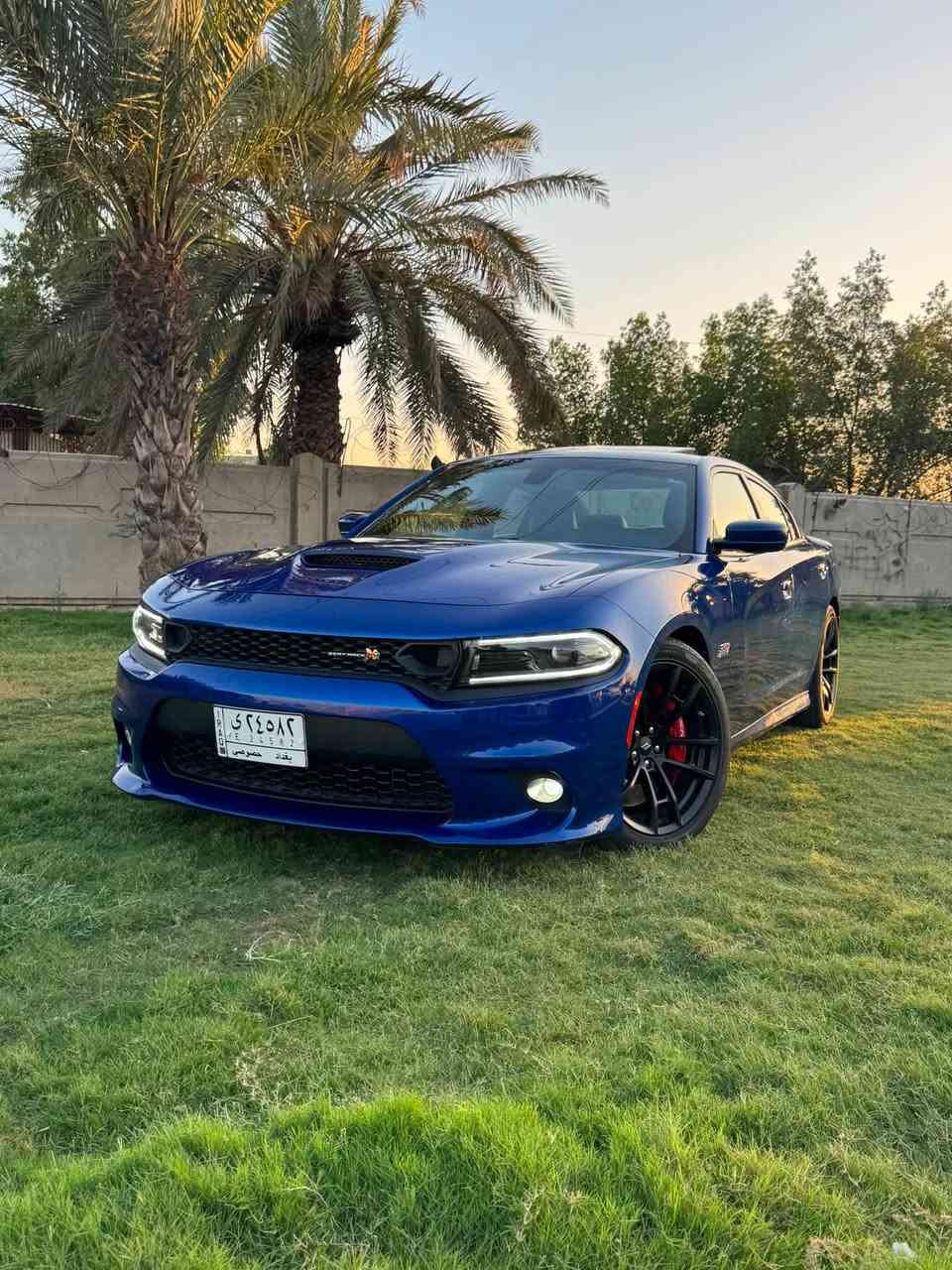 🔥 للبيع | 2022 Dodge Charger Scat Pack 392 (SRT) 🇺🇸🔥

🐝 وارد أمريكي
💥 محرك 6.4L HEMI V8 (392)
⚡️ قوة 485 حصان
⚙️ جير أوتوماتيك 8 سرعات
🏁 دفع خلفي (RWD)

🔹 المواصفات:
✅ فتحة بانوراما
✅ كشنات جلد رياضية
✅ تدفئة وتبريد للمقاعد الأمامية
✅ تدفئة للمقود
✅ بصمة تشغيل + دخول ذكي
✅ تشغيل عن بُعد (Remote Start)
✅ شاشة Uconnect كبيرة
✅ Apple CarPlay & Android Auto
✅ كاميرا خلفية
✅ حساسات أمامية وخلفية
✅ نقطة عمياء (Blind Spot)
✅ تنبيه حركة خلفية (Rear Cross Path)
✅ بريكات Brembo الأصلية
✅ رنكات رياضية 20 إنج
✅ نظام Launch Control
✅ نظام Line Lock
✅ أوضاع قيادة (Auto / Sport / Track / Custom)
✅ SRT Performance Pages
✅ عادم رياضي Active Exhaust
✅ مثبت سرعة
✅ إضاءة LED كاملة

🔥 سيارة تجمع بين القوة والفخامة، أداء SRT الحقيقي وصوت HEMI الأسطوري.
📍نظيفة وجاهزة للاستخدام، ما تحتاج أي مصروف. سعر 300ورقه $تصال ***********
