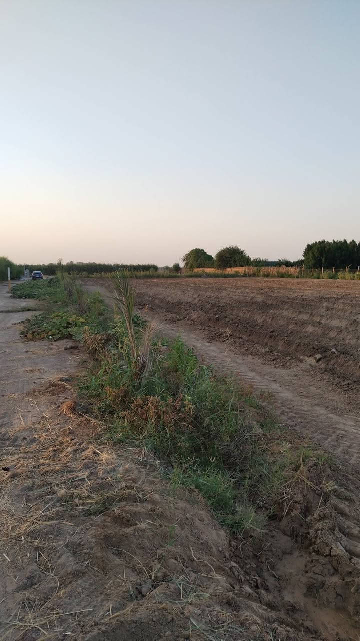 تحيه طيبه للبيع شاطيه 4دوانم طابو سند 25 زراعي تحويل مباشر وجه 45متر نزال 215متر مسيجة بي ار سي   متوفر جميع الخدمات توجد أشجار نخيل انواع واشجار حمضيات واشجار تين الارض تصلح اي استثمار العنوان واسط العزيزية منطقة الدير الاوسط للاستفسار اكثر اتصل واتساب موجود على الرقم هذه ***********
