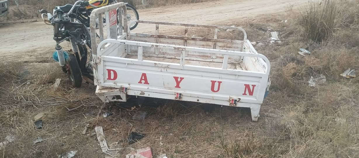 ستوته اوراقها كامله...  ابيع تفصيخ كلمن وسعره  هاذا رقم بيه واتساب ودك عليه  *********** مكاني شطرة
