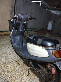 منغولي ام السلة • نقوصات باتري • فريك امامي