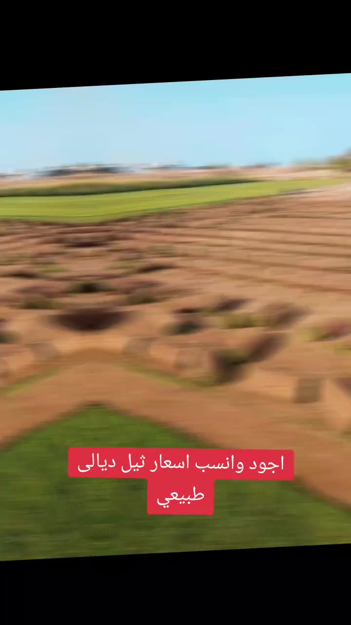 مزارع ديالى الأكبر في العراق☘️ لتجهيز الثيل الطبيعي ☘️
كافة الانواع☘️ توصيل كافة المحافظات ☘️اسعار مناسبة ☘️
للتواصل☘️
 ***********
***********
بيهن واستاب
