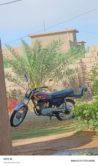 شاصي ١١ • غراض ٢٢ • نضيفه