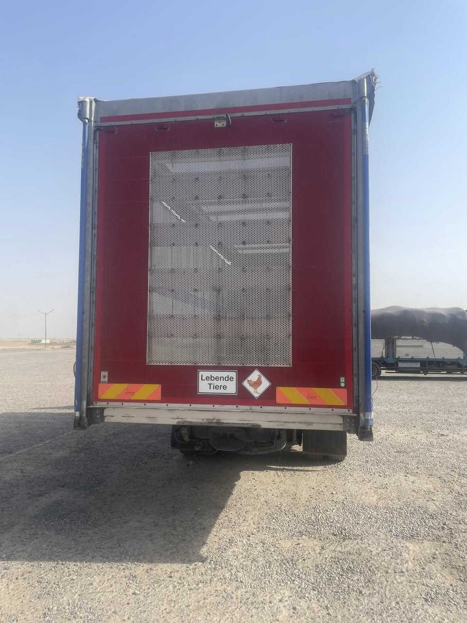 السلام عليكم بدي  مال دجاج مال سحال اكتروز وحش للبيع ***********
