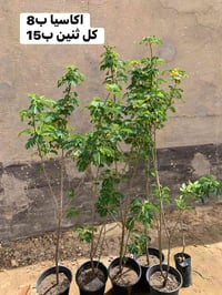 صور داخلية • تفاصيل • ديكور منزلي