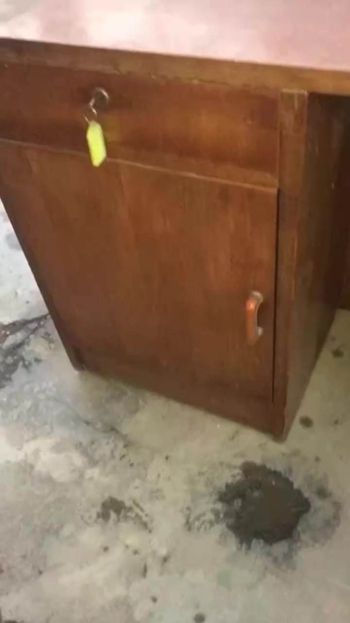 بيع بوفيه سعره ٥٠ بي مجال سرير ميز تواليت ٢٠٠ وبي مجال العنوان الدوره


**إذا كنت صاحب هذا الإعلان وتريد حذفه لأي سبب، رجاءا أرسل رسالة إلى الدعم الفني**