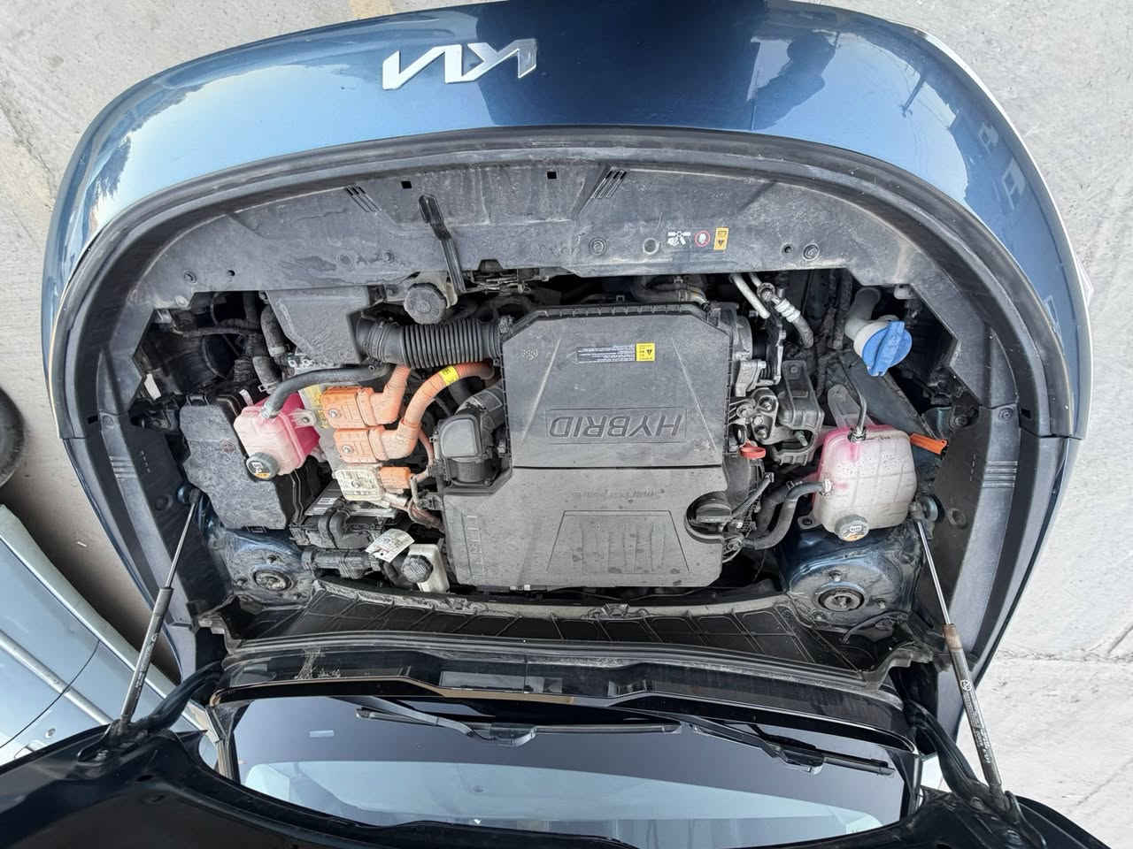 كيا نيرو 2023سعر 145$
وارد أمريكي – مرقمة بغداد – 

تريد سيارة صرفها قليل جداً ومواصفاتها فل؟

كيا نيرو هايبرد 2023 خيار عملي وعصري، بحالة ممتازة جداً، لون أزرق مميز، نظافة عالية واستخدام خفيف.

🚗 محرك 1.6 بنزين + موتور كهرباء

⚡ قوة تقريباً 139 حصان

⛽ صرف اقتصادي جداً (4–5 لتر لكل 100كم حسب القيادة)

🔄 تبديل أوتوماتيك 6 سرعات DCT

الحادث: خلفي 

المواصفات:

✔ شاشة كبيرة + عداد ديجيتال

✔ بصمة تشغيل + بصمة أبواب

✔ فتحة بانوراما

✔ دخول ذكي

✔ نظام Eco / Sport

✔ مثبت سرعة

✔ رادار أمامي + مانع تصادم

✔ محدد مسار + تصحيح مسار

✔ نقطة عمياء

✔ كاميرا خلفية + حساسات أمامية وخلفية

✔ Auto Hold

✔ شاحن وايرلس

✔ كراسي جلد ومخمل + تدفئة

✔ إضاءة LED أمامية وخلفية

✔ شفتات على الستيرن

✔ نظام صوتي مميز + بلوتوث + USB

سيارة مريحة وهادئة، مثالية للاستخدام اليومي داخل بغداد، وتوفر عليك فرق كبير بالمصاريف مقارنة بسيارات البنزين.

الموقع: بغداد – الدورة الجادريه 

الرقم : ***********////////***********

اتصال واي استفسار اني حاضر
