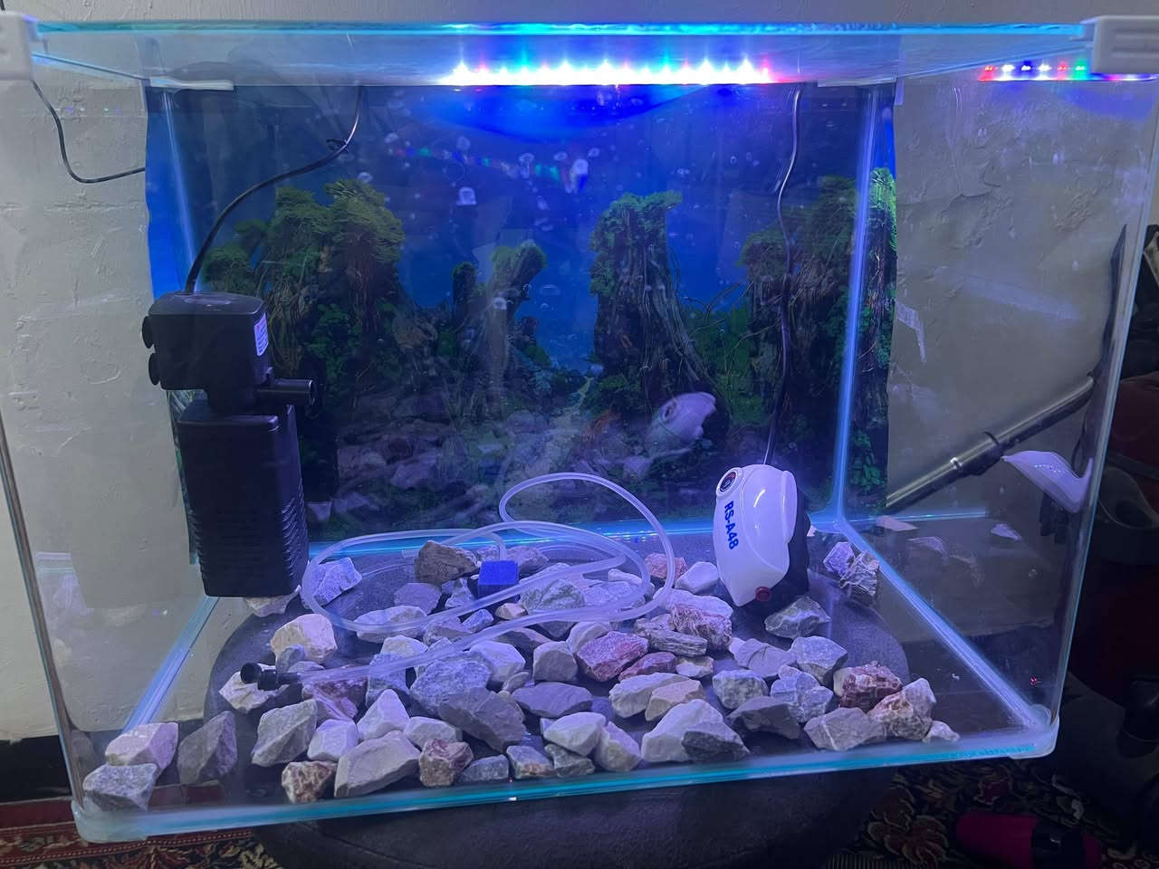 السلام عليكم حوض سمك للبيع قياس 50 ×30
غراضة كاملة انارة وفلتر كبير ومضخه صغيرة كامل مكمل بس تترس مي وسمك سعرة 40 الف بي مجال  *********** واتساب
