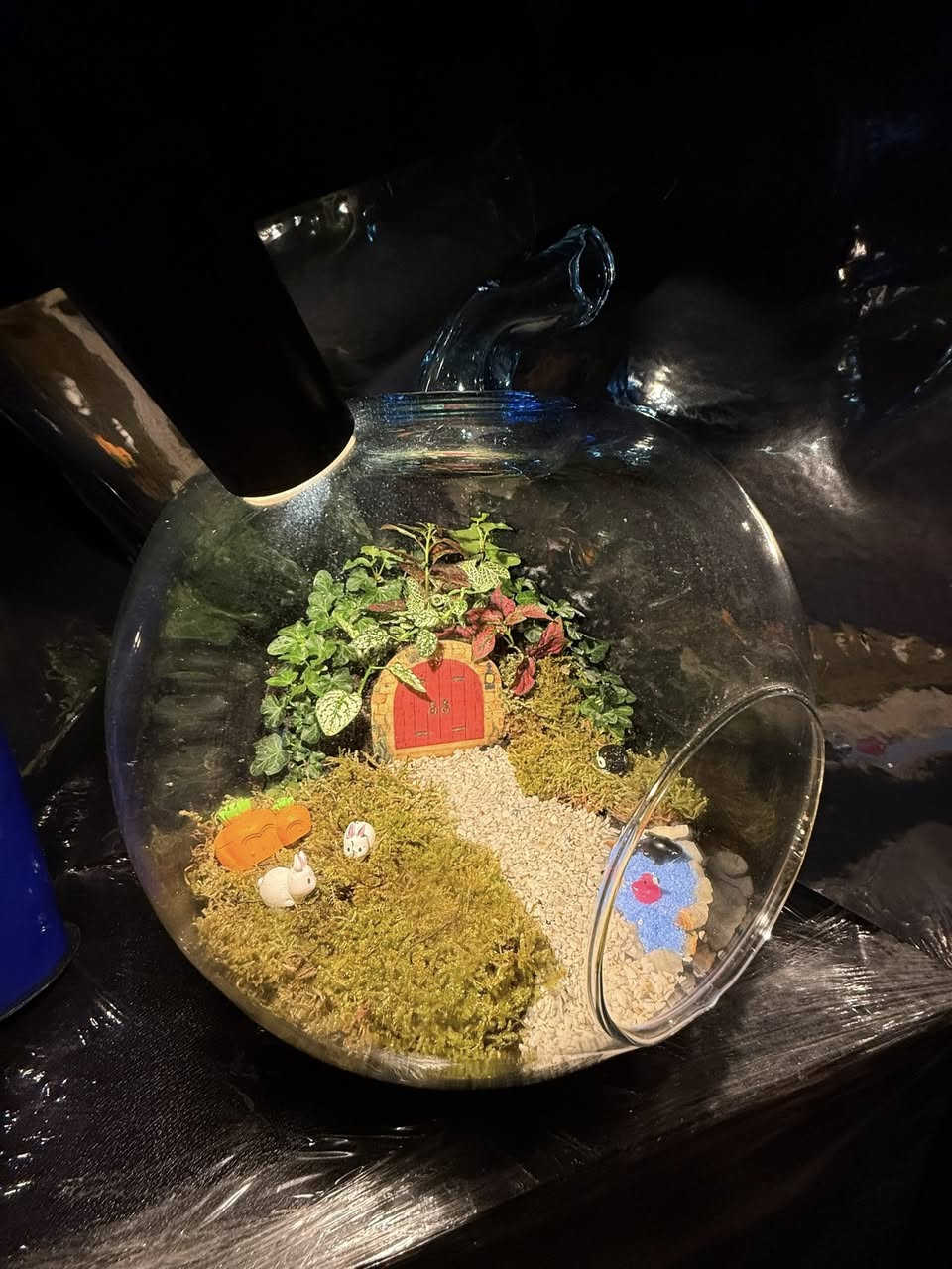 �✨ دوارق التيراريوم – جمال الطبيعة بحجم صغير ✨🌿

إذا تحب الطبيعة بس ما عندك وقت للعناية اليومية، الحل موجود ويانا 💚
نقدملك دوارق التيراريوم الزجاجية بتصاميم أنيقة تناسب البيت، المكتب، أو حتى هدية مميزة 🎁

🌱 مميزات التيراريوم:

 • شكل راقي وهادئ يضيف لمسة طبيعية لأي مكان
 • ما يحتاج عناية مستمرة
 • مناسب للمبتدئين ومحبي النباتات
 • يعيش لفترة طويلة داخل بيئة مغلقة

💧 شنو يحتوي الدوارق؟

 • طبقات تربة مخصصة 🌍
 • فحم لتنقية الجو داخل الدوارق
 • نباتات مختارة بعناية 🌿
 • ديكورات طبيعية وحجرية

📋 تعليمات العناية:

 • 💦 السقي: مرة وحده كل شهر
 • ☀️ الإضاءة: ضوء غير مباشر (لا تحطه تحت الشمس المباشرة)
 • 🌬️ التهوية: إذا الدوارق مغلق، افتحه مرة بالأسبوع لمدة بسيطة
 • ❌ لا تكثر مي حتى لا تتعفن النباتات

🚚 التوصيل متوفر داخل المدينة
🎁 إمكانية التغليف كهدية بشكل أنيق

💬 للحجز أو الاستفسار راسلنا خاص
وفر لنفسك قطعة طبيعة تعيش وياك


**إذا كنت صاحب هذا الإعلان وتريد حذفه لأي سبب، رجاءا أرسل رسالة إلى الدعم الفني**