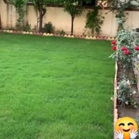 ازرع حدائق شتلات بغداد  كراده زيونه راقمي موجود  مناطق بغداد  ‏‪0774 7...