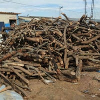 حطب • حمل كيا