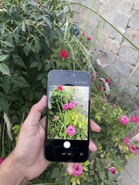 آيفون ١٤ برو ماكس • ٢٥٦ • شاشة وبطارية أصلية