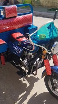 ستوتة • موديل 20 • زين القوس